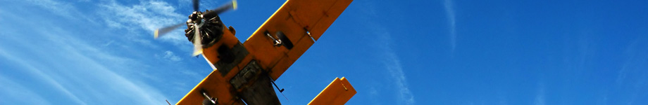 Information News Rotating Header Image